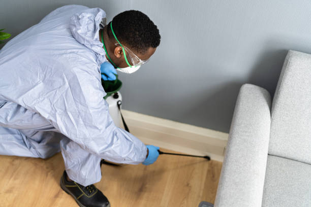 Professional Pest Control in Dearborn Heights, MI